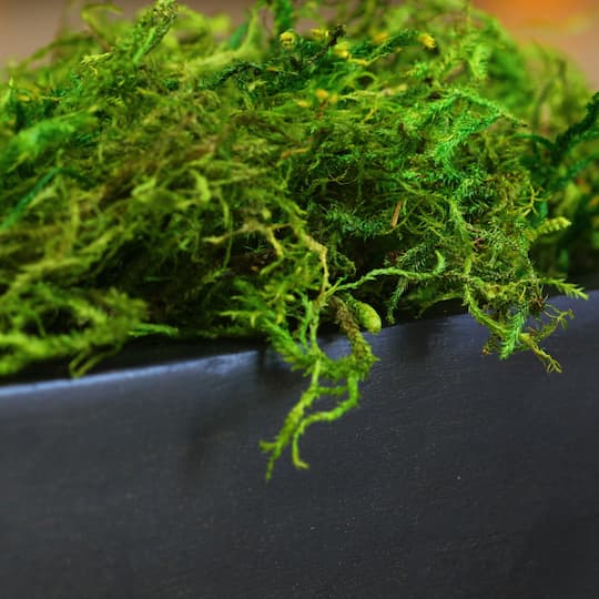 SuperMoss® Preserved Green Moss